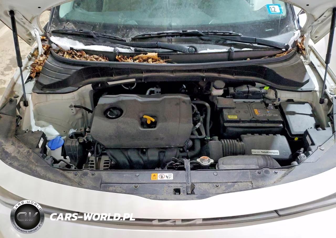 2023 Kia Soul Lx VIN:KNDJ23AU9P7892848 - 11
