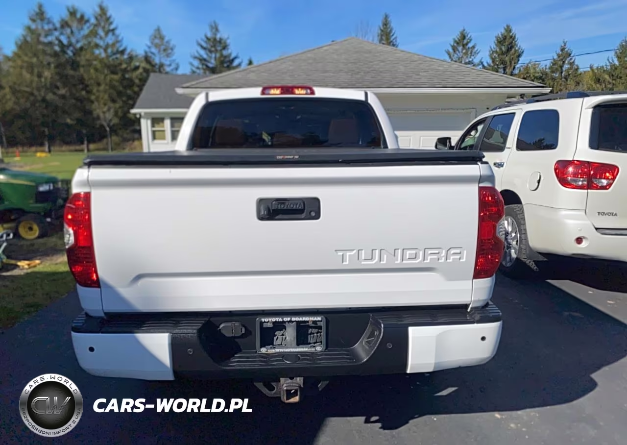 2019 Toyota Tundra 1794 Edition VIN:5TFAY5F18KX805930 - 14