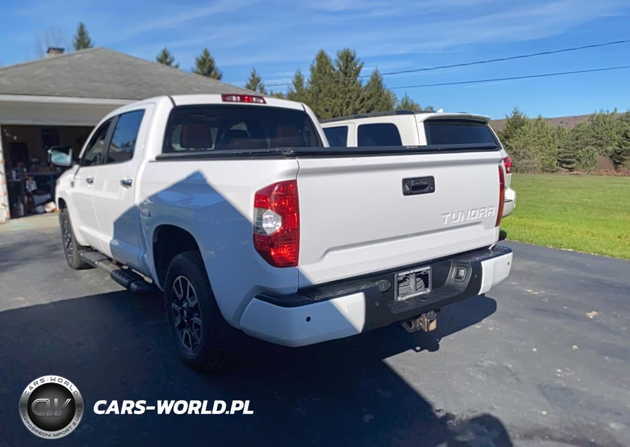 2019 Toyota Tundra 1794 Edition VIN:5TFAY5F18KX805930 - 3
