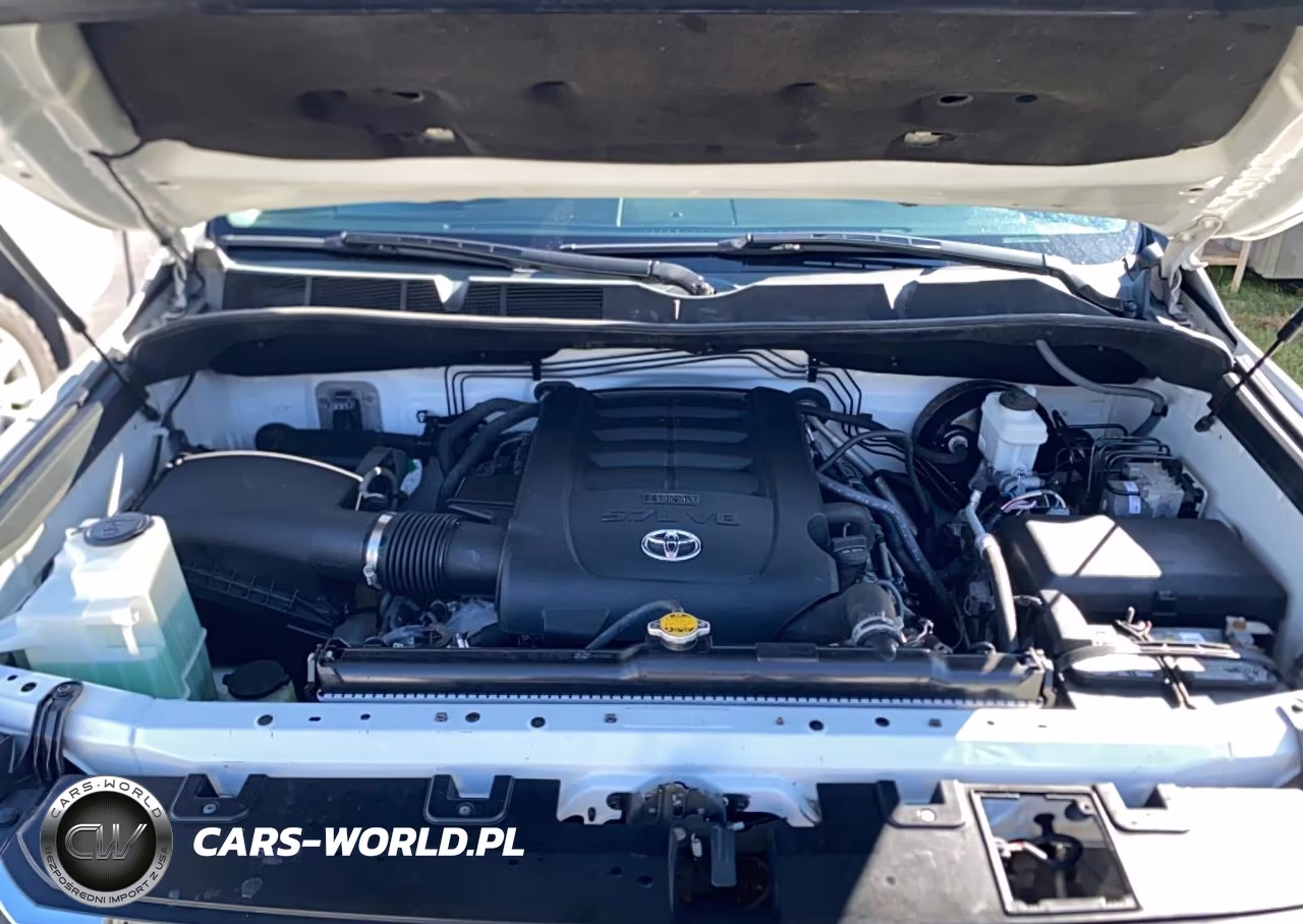 2019 Toyota Tundra 1794 Edition VIN:5TFAY5F18KX805930 - 7