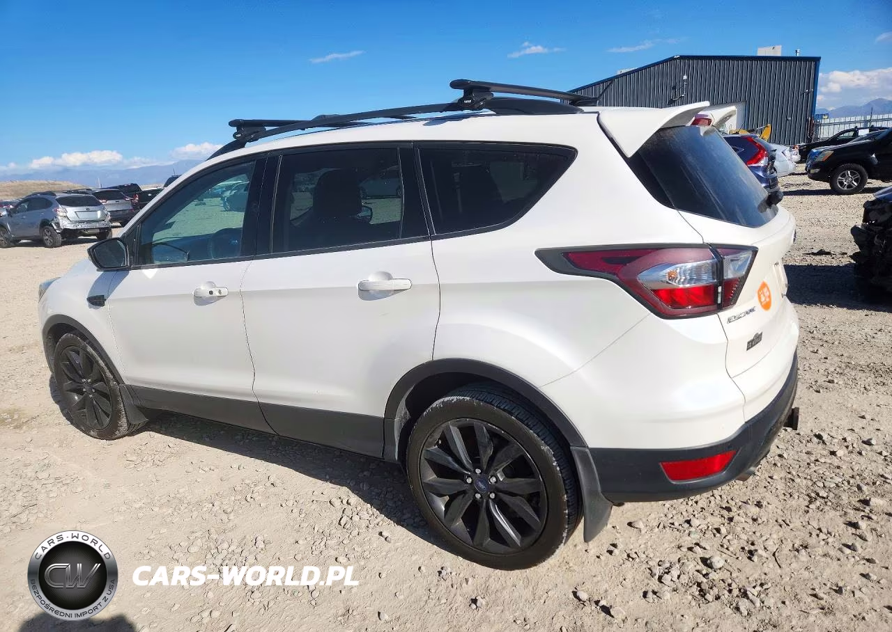 2017 Ford Escape Titanium VIN:1FMCU9J94HUB43780 - 2