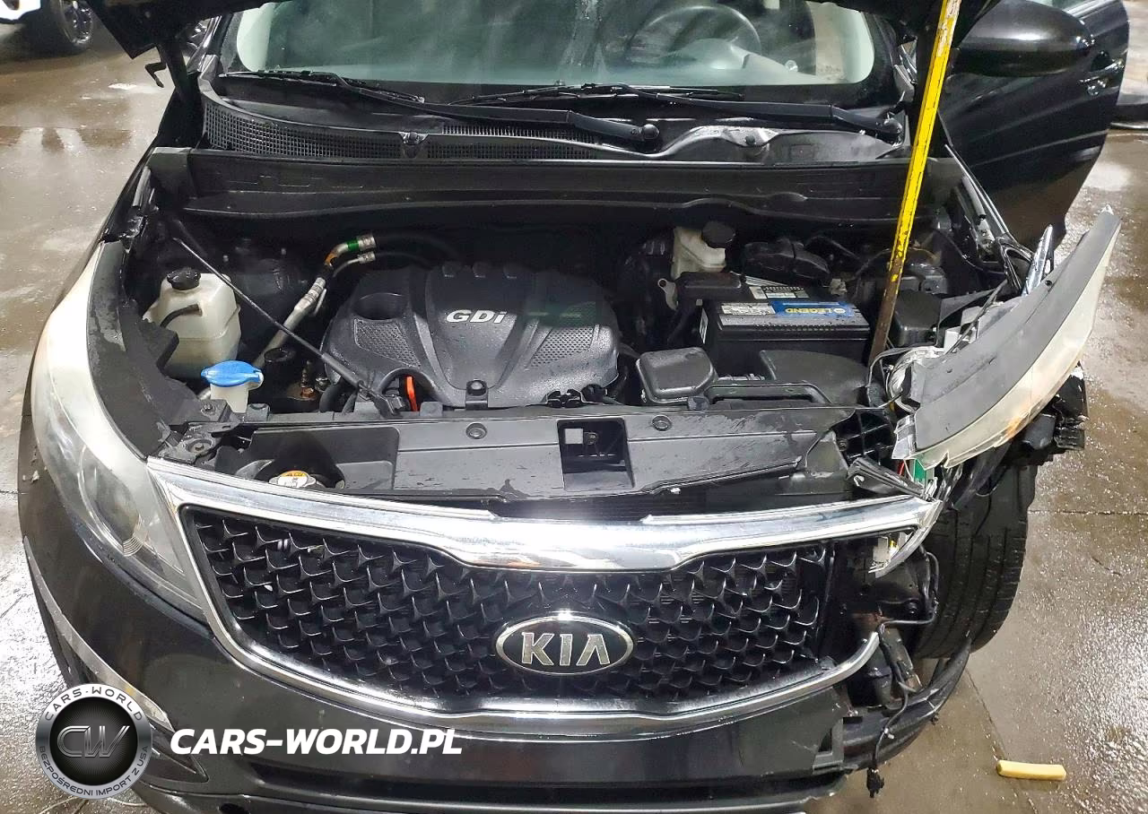 2016 Kia Sportage Lx VIN:KNDPB3AC8G7795268 - 12