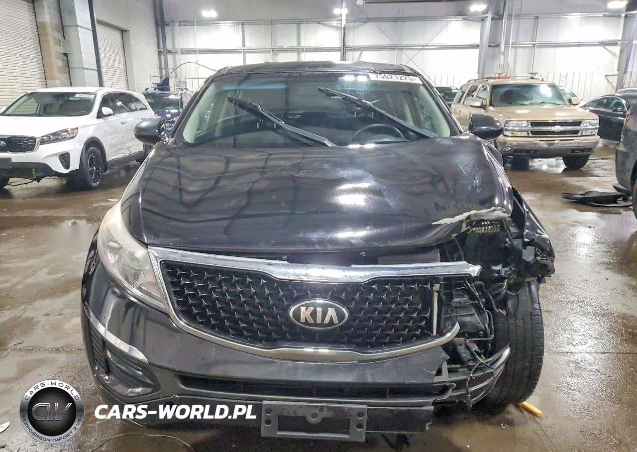 2016 Kia Sportage Lx VIN:KNDPB3AC8G7795268 - 5