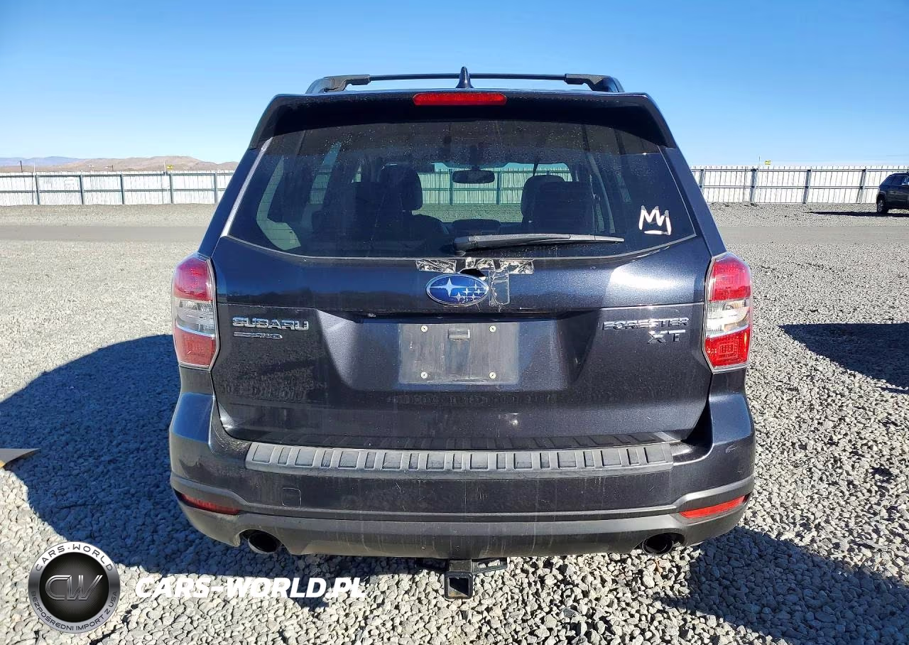 2016 Subaru Forester 2.0Xt Premium VIN:JF2SJGDC8GH546769 - 6