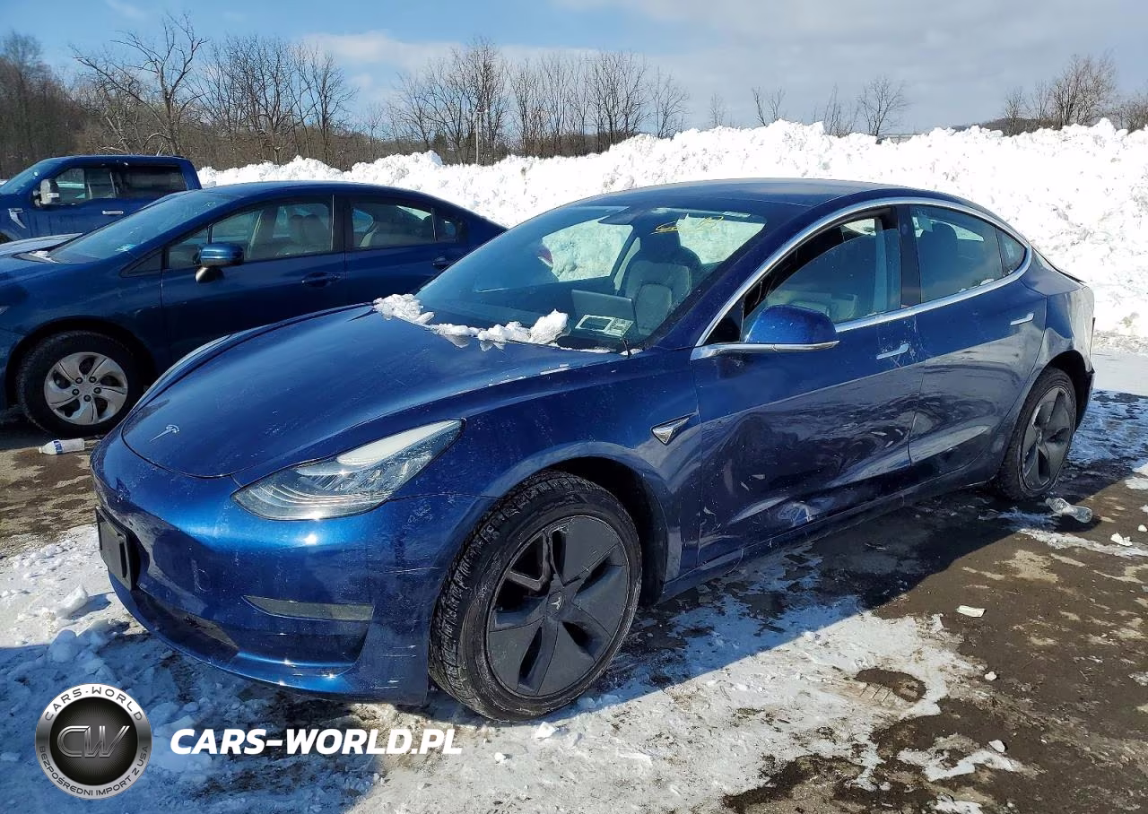 2019 Tesla Model 3