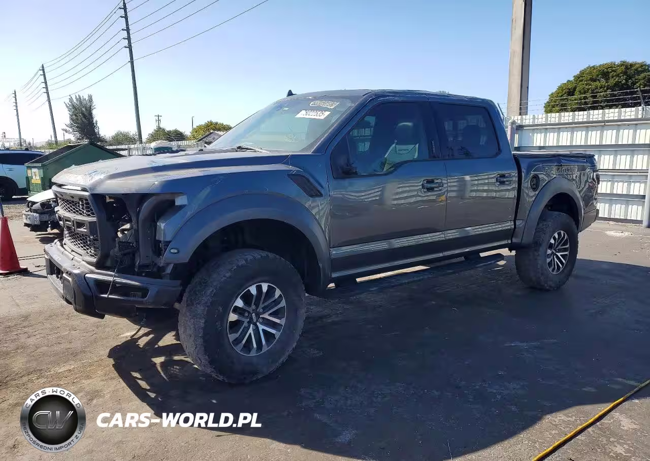 2019 Ford F150 Raptor