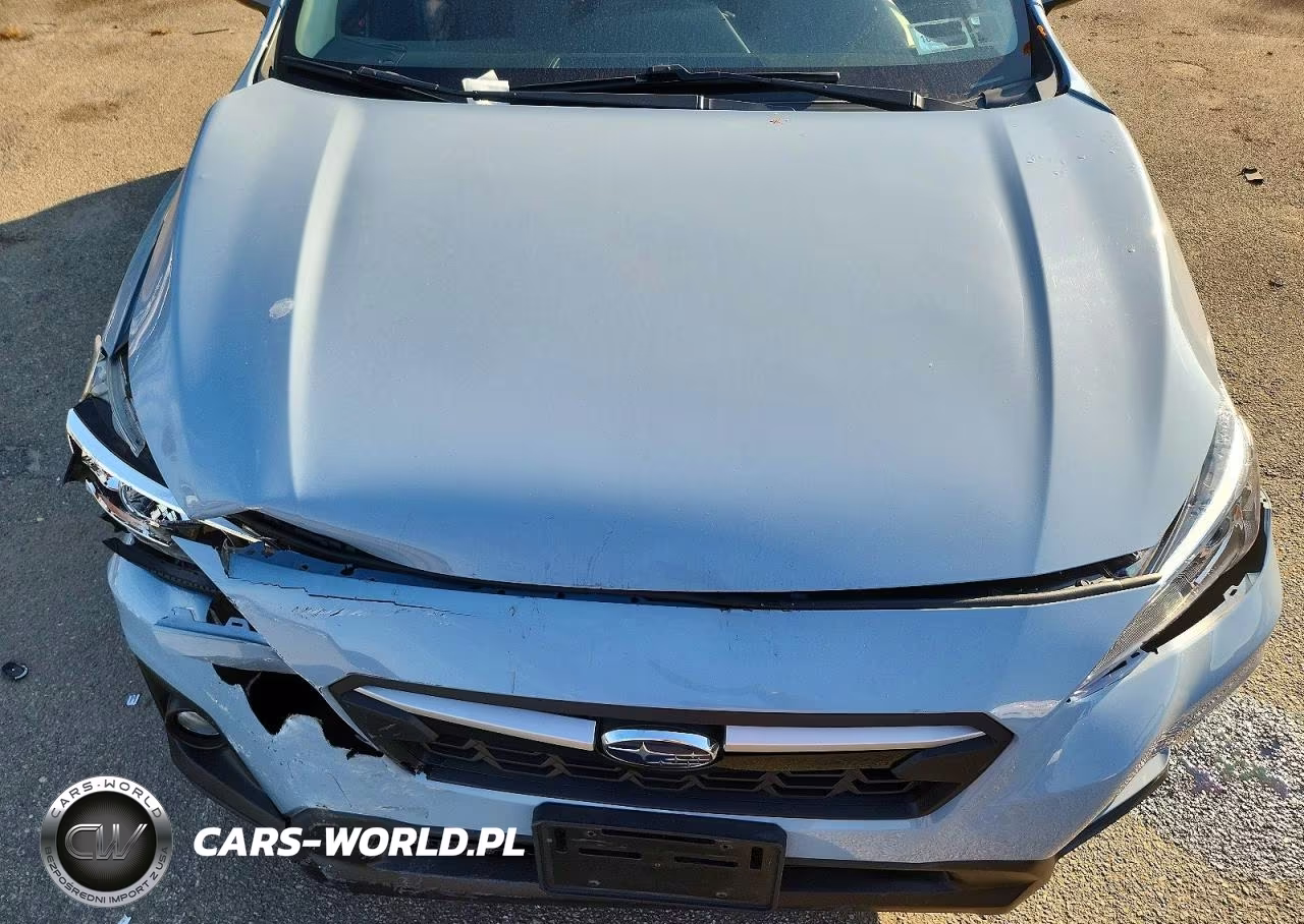 2019 Subaru Crosstrek Premium VIN:JF2GTAEC7KH201673 - 12
