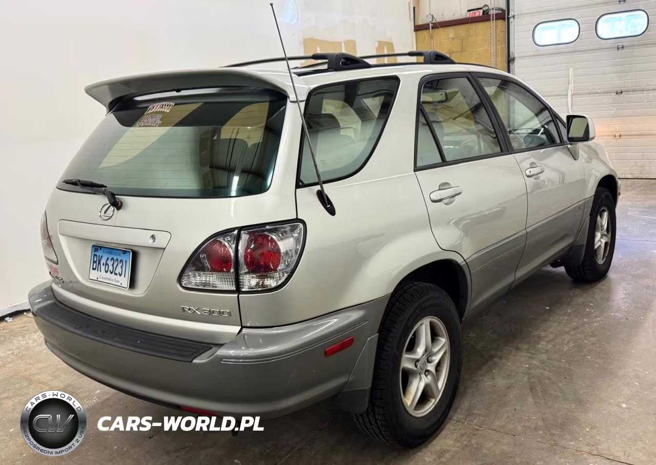 2003 Lexus Rx 300 VIN:JTJHF10U830315768 - 4