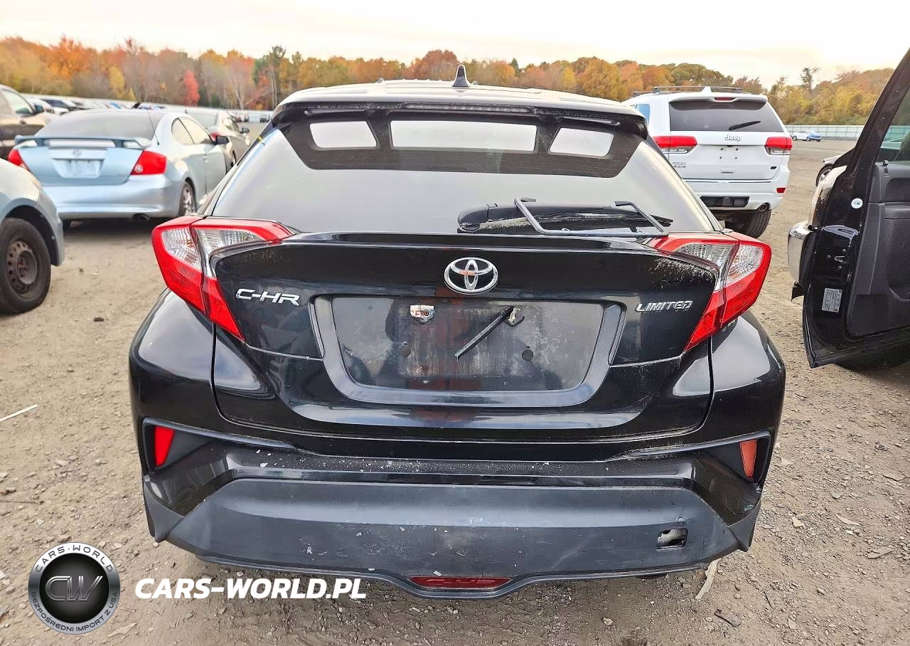 2019 Toyota C-Hr Limited VIN:NMTKHMBXXKR073068 - 6