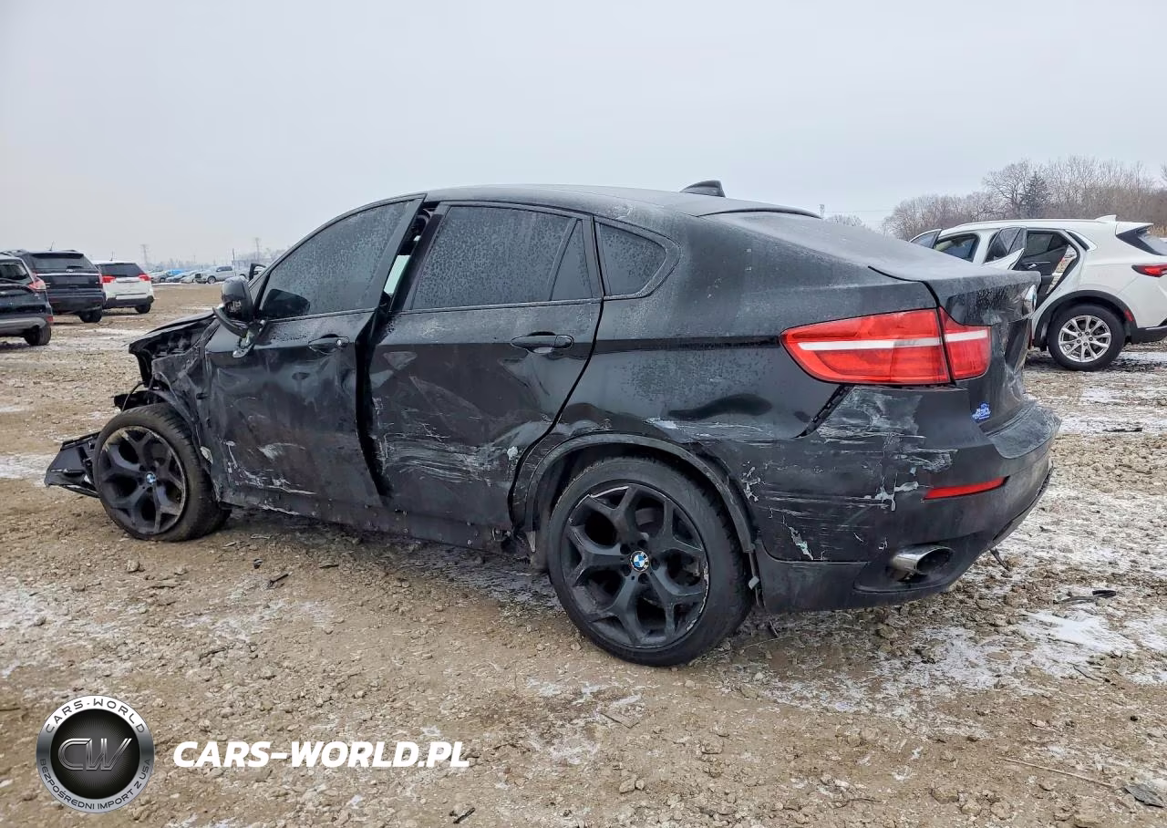 2013 BMW X6 xDrive35I VIN:5UXFG2C57DL783281 - 2