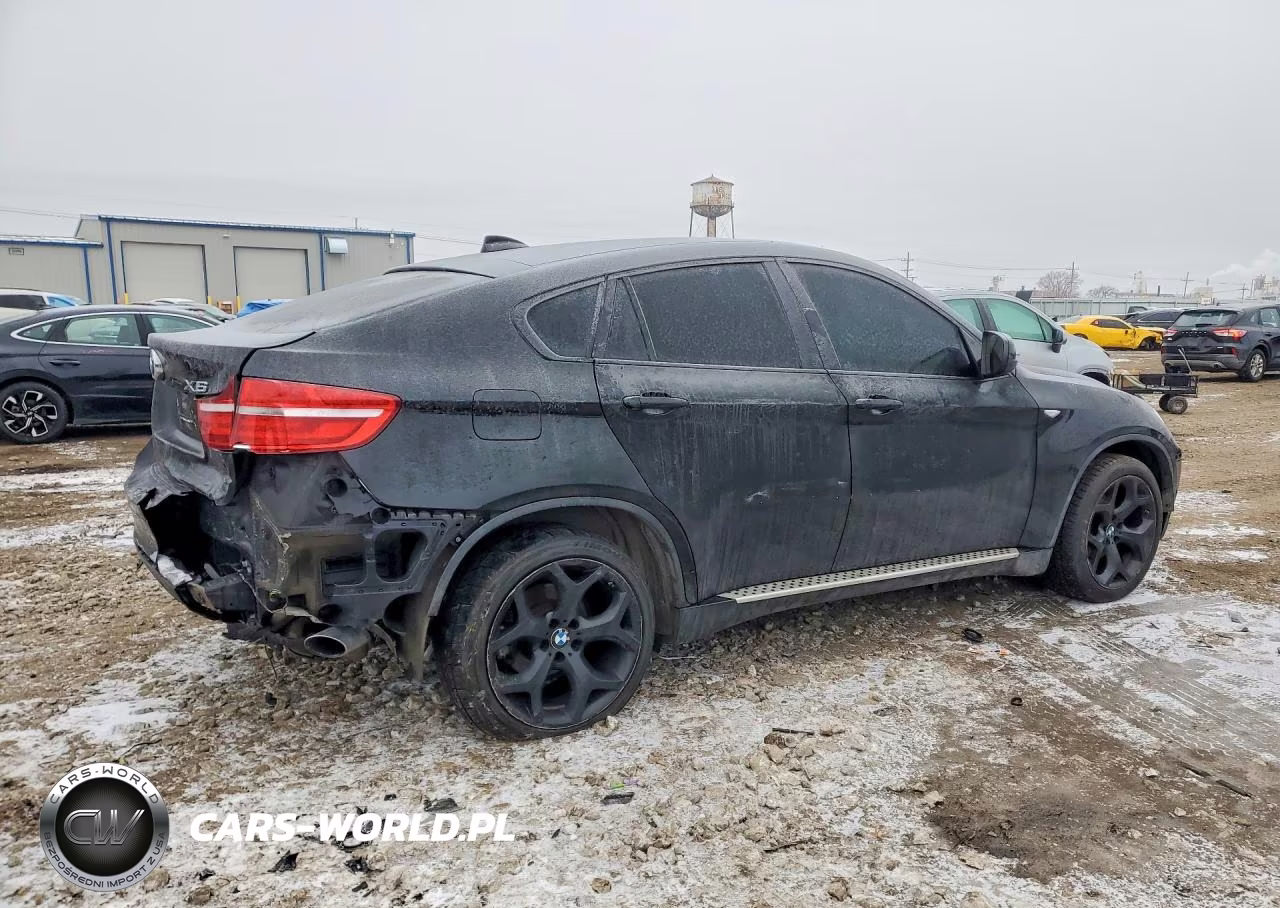 2013 BMW X6 xDrive35I VIN:5UXFG2C57DL783281 - 3