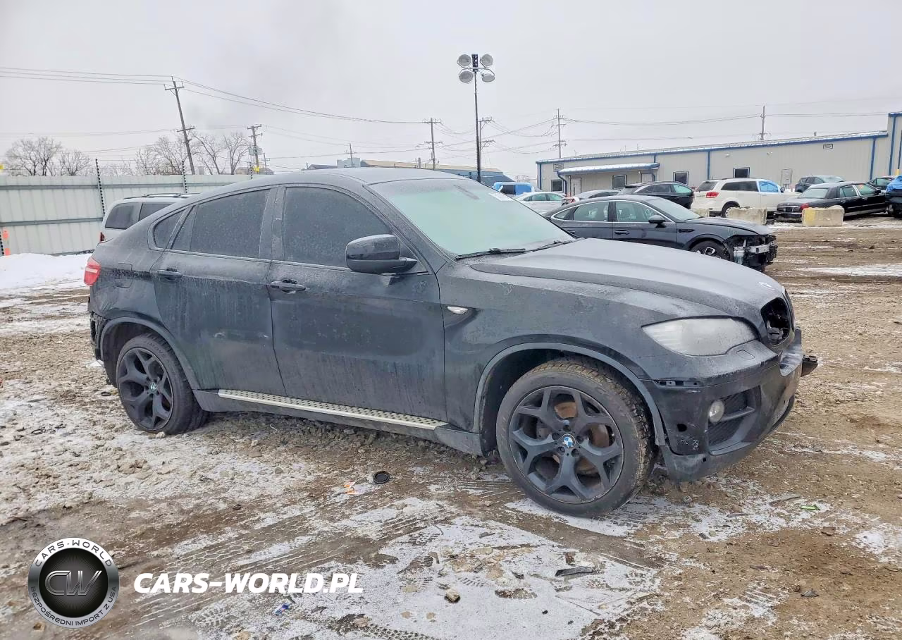 2013 BMW X6 xDrive35I VIN:5UXFG2C57DL783281 - 4