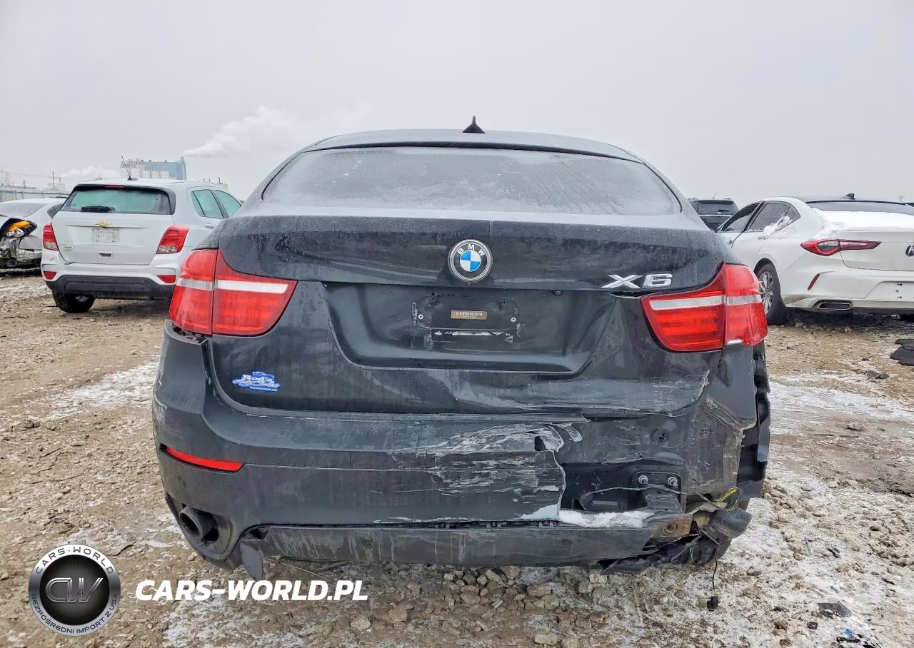2013 BMW X6 xDrive35I VIN:5UXFG2C57DL783281 - 6