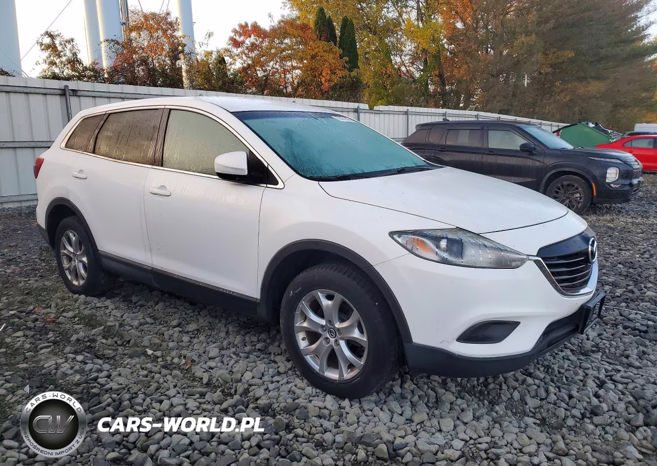 2014 Mazda Cx-9 Touring VIN:JM3TB3CV7E0434687 - 4