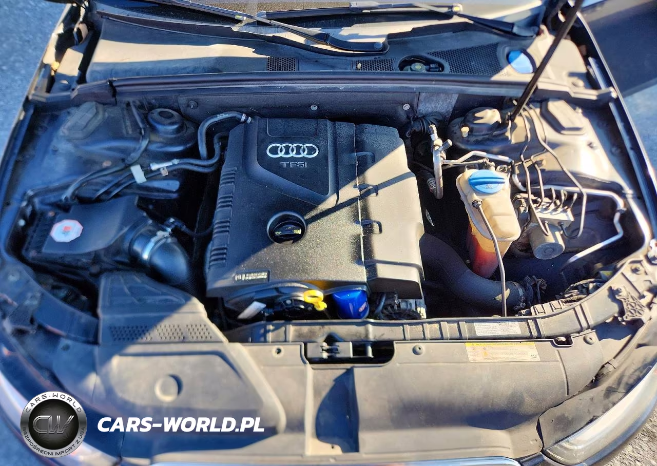 2014 Audi A4 Premium Plus VIN:WAUFFAFL9EN011294 - 11