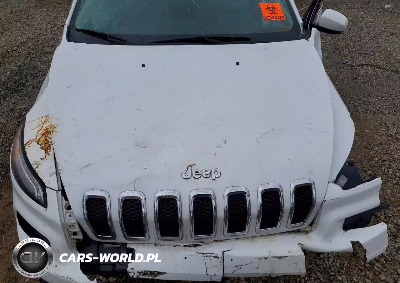 2016 Jeep Cherokee Limited VIN:1C4PJMDS8GW205247 - 12