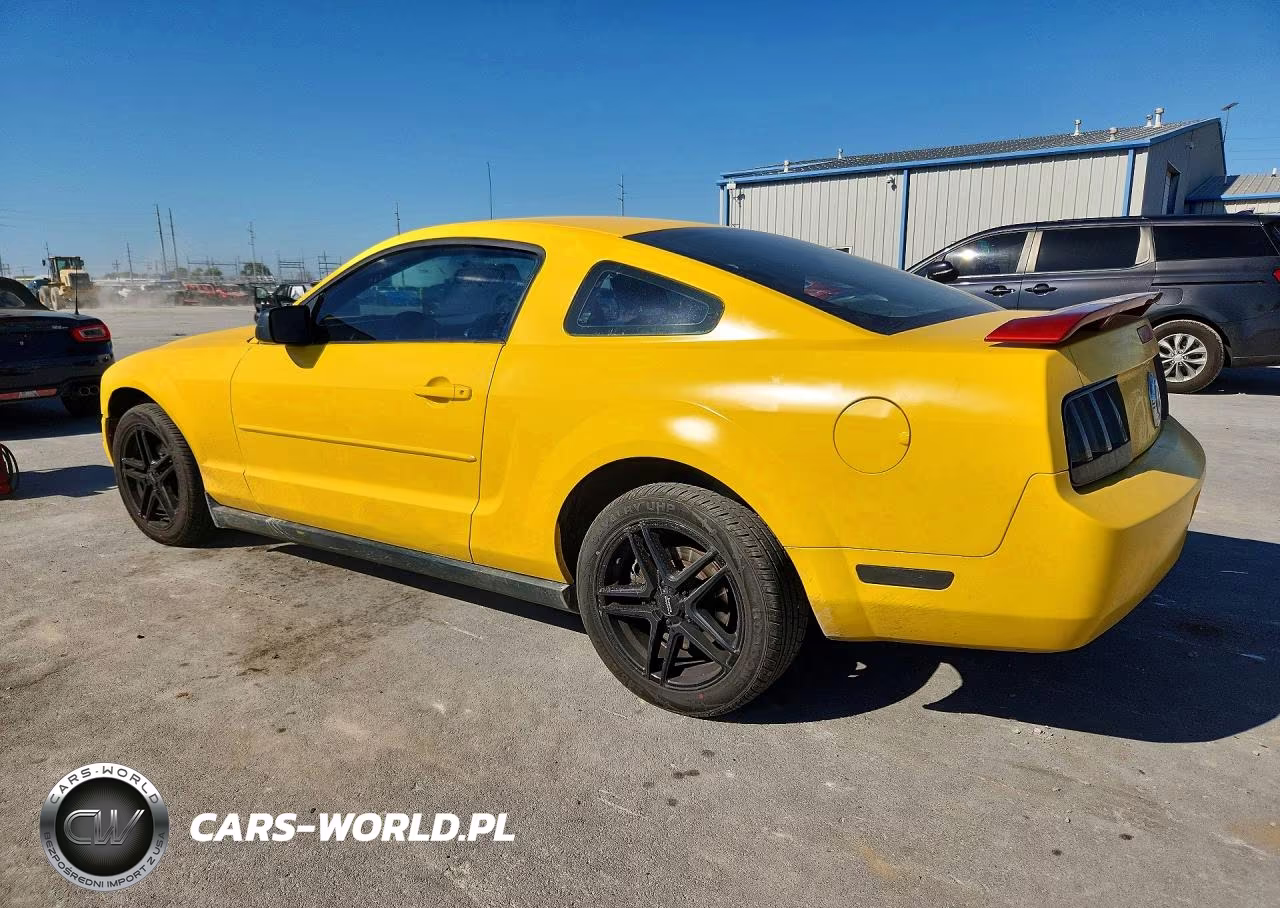 2005 Ford Mustang VIN:1ZVFT80NX55225528 - 2