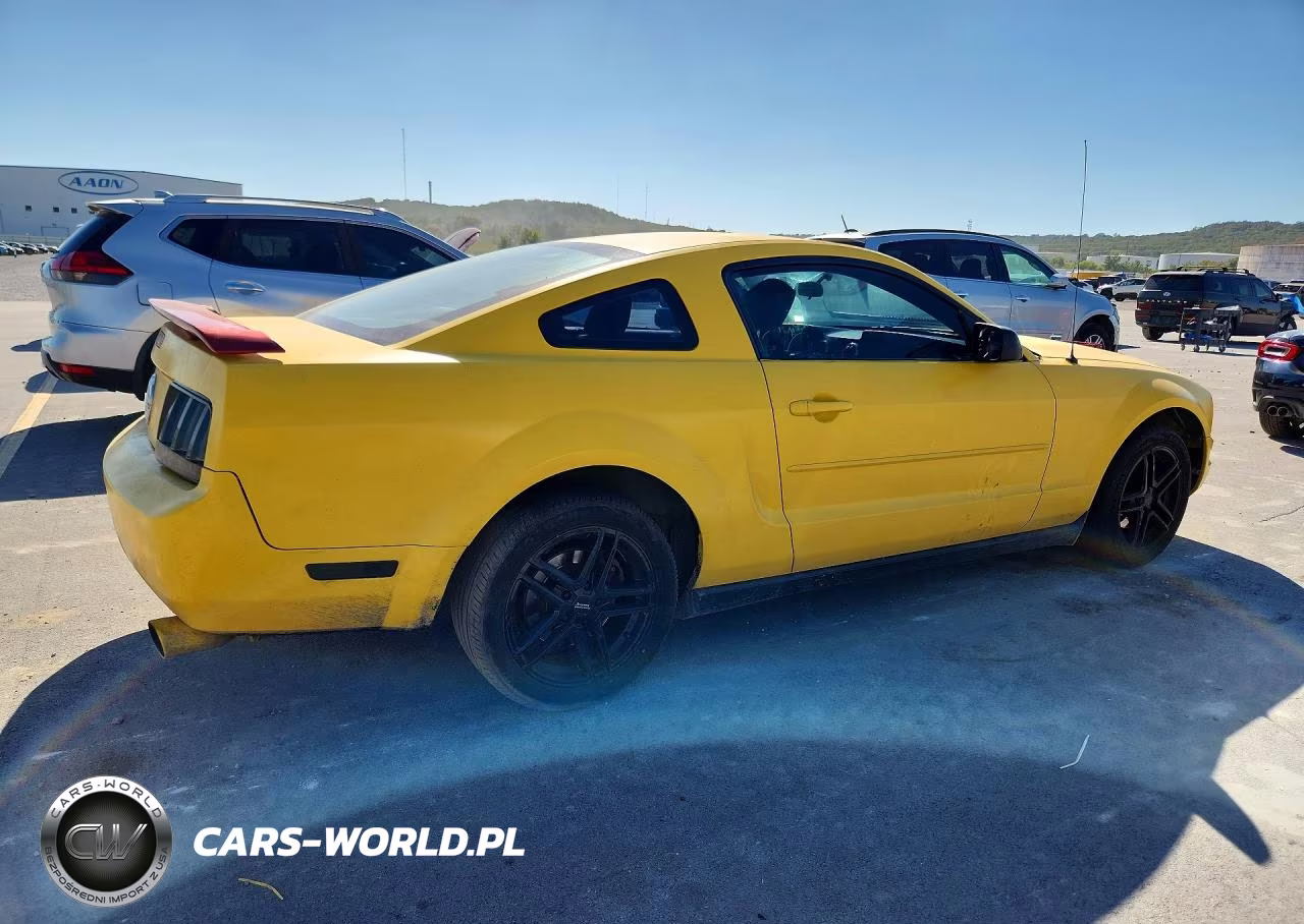 2005 Ford Mustang VIN:1ZVFT80NX55225528 - 3