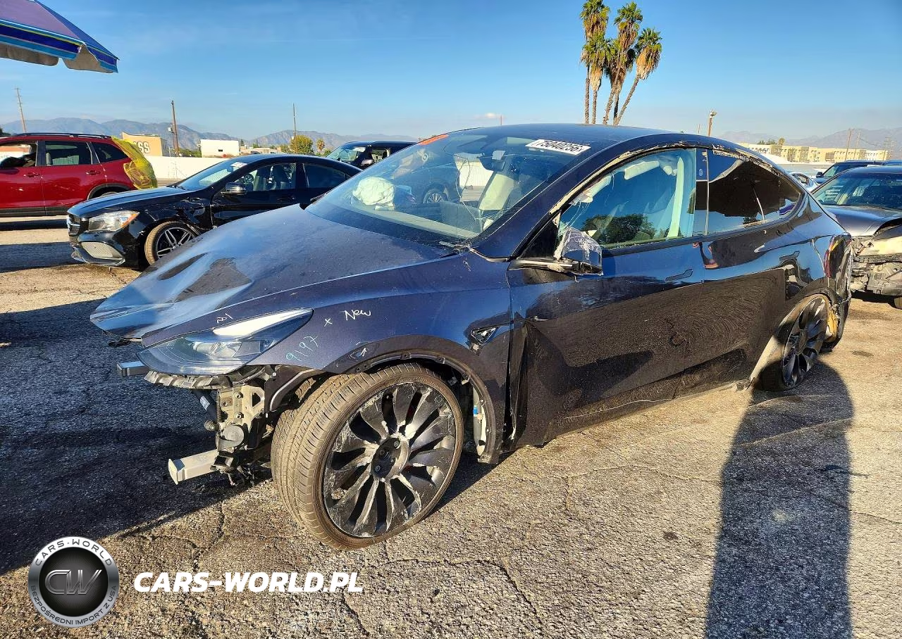2024 Tesla Model Y VIN:7SAYGDEF8RF087408 - 1