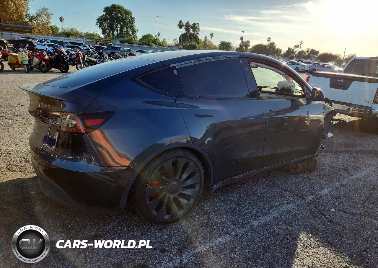 2024 Tesla Model Y VIN:7SAYGDEF8RF087408 - 3