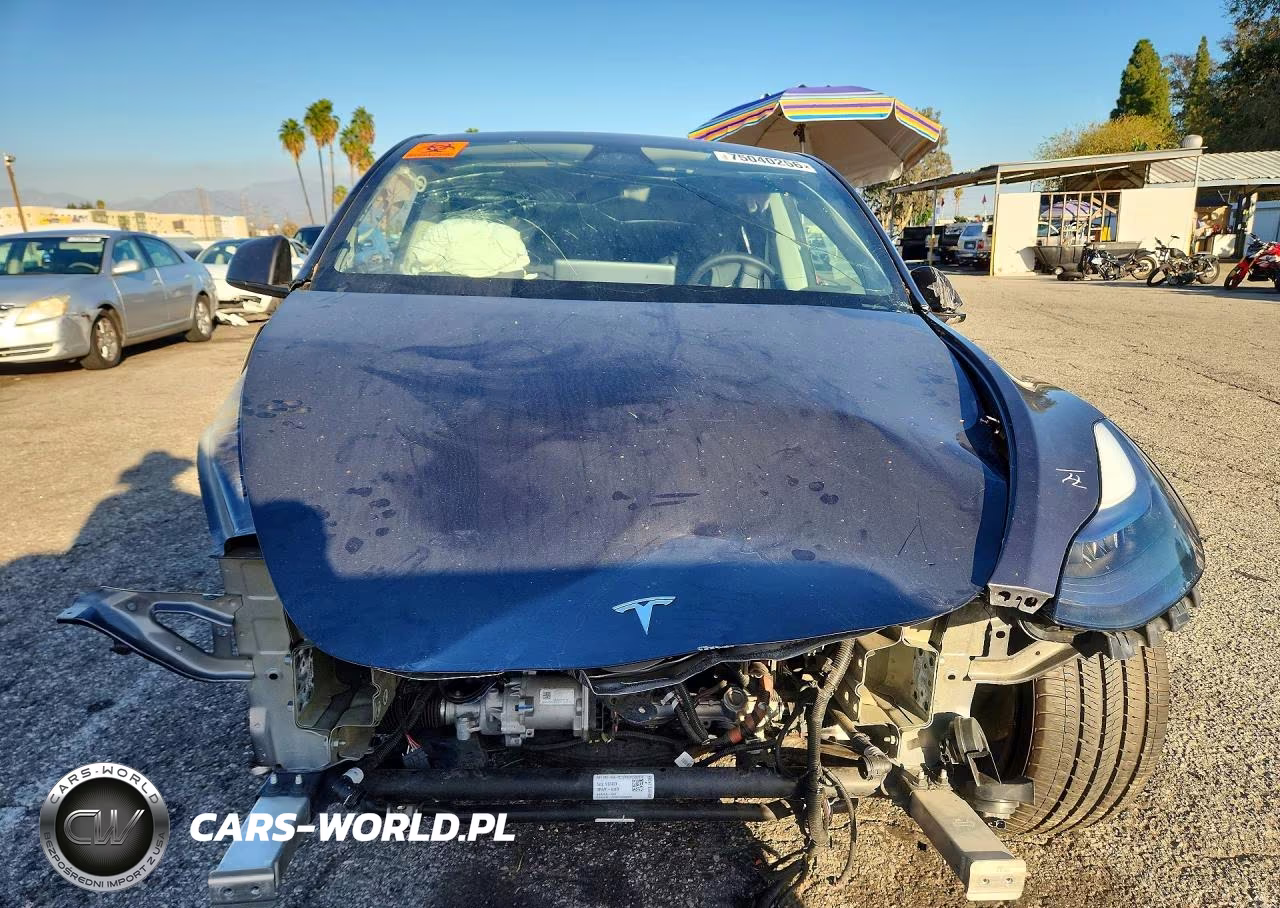 2024 Tesla Model Y VIN:7SAYGDEF8RF087408 - 5