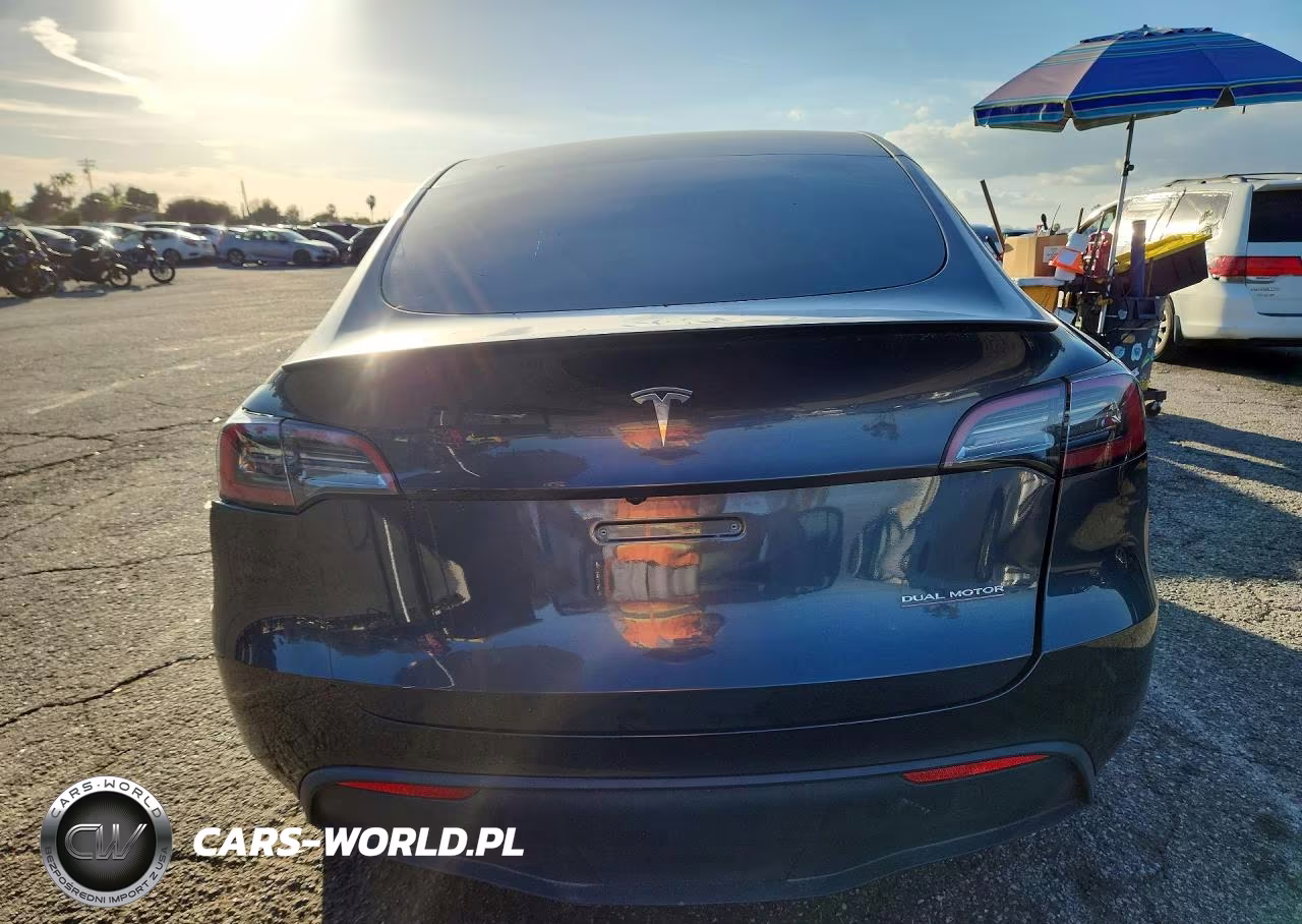 2024 Tesla Model Y VIN:7SAYGDEF8RF087408 - 6