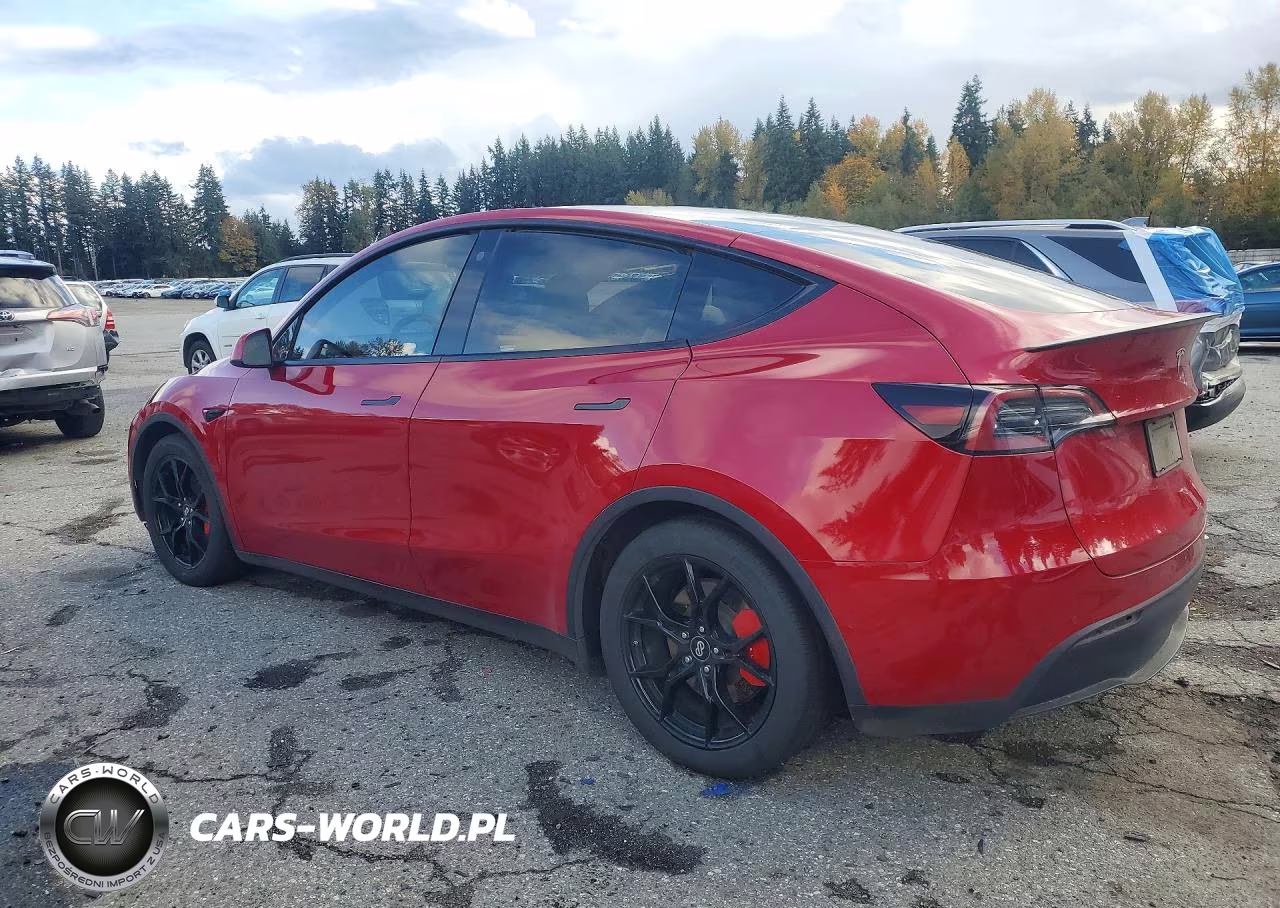 2022 Tesla Model Y VIN:7SAYGDEF8NF545846 - 2