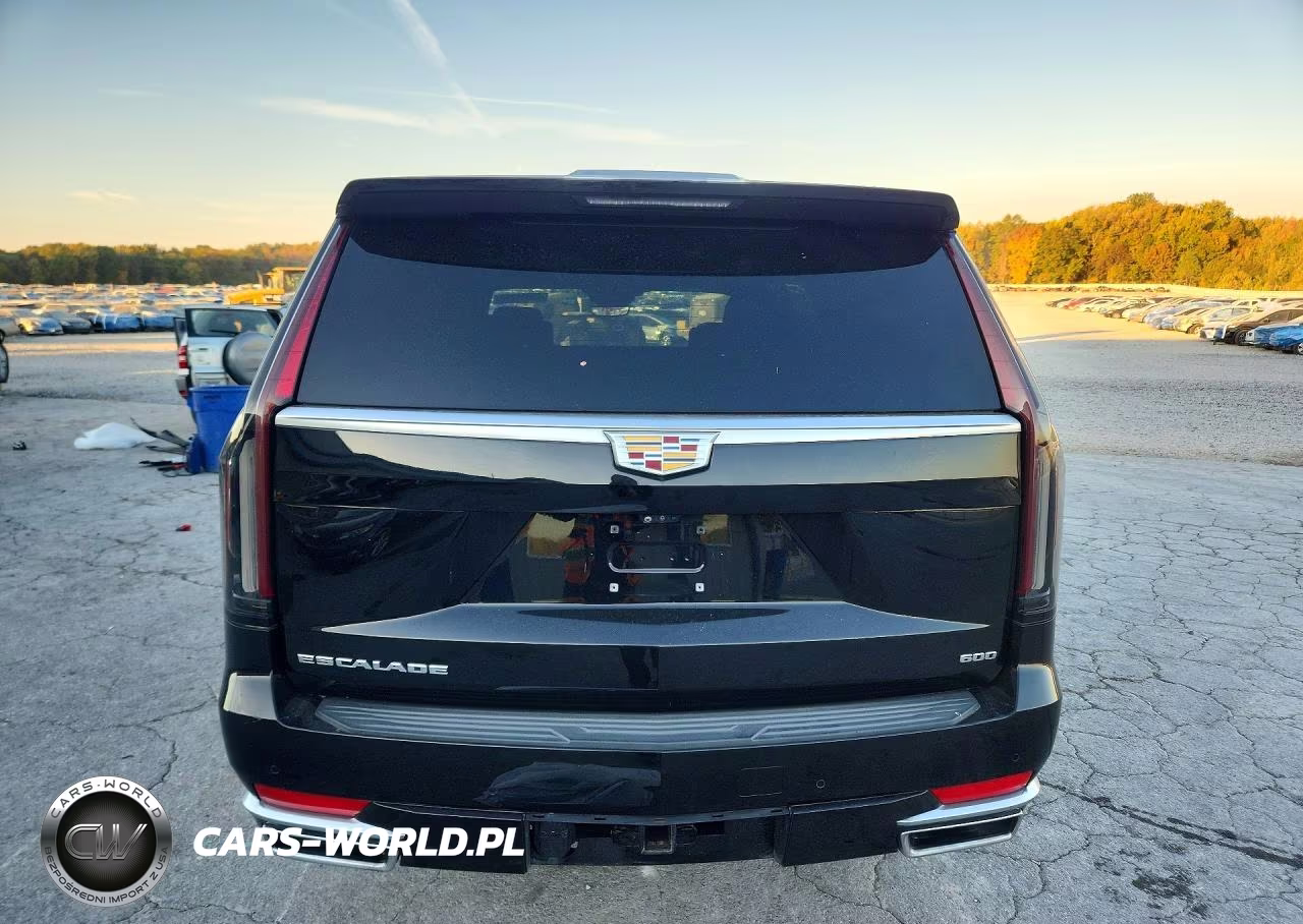 2021 Cadillac Escalade 4Wd Premium Luxury VIN:1GYS4BKL1MR364391 - 6