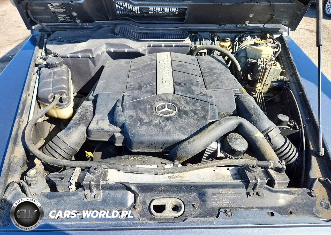 2005 Mercedes-Benz G 500 VIN:WDCYR49E95X163687 - 12