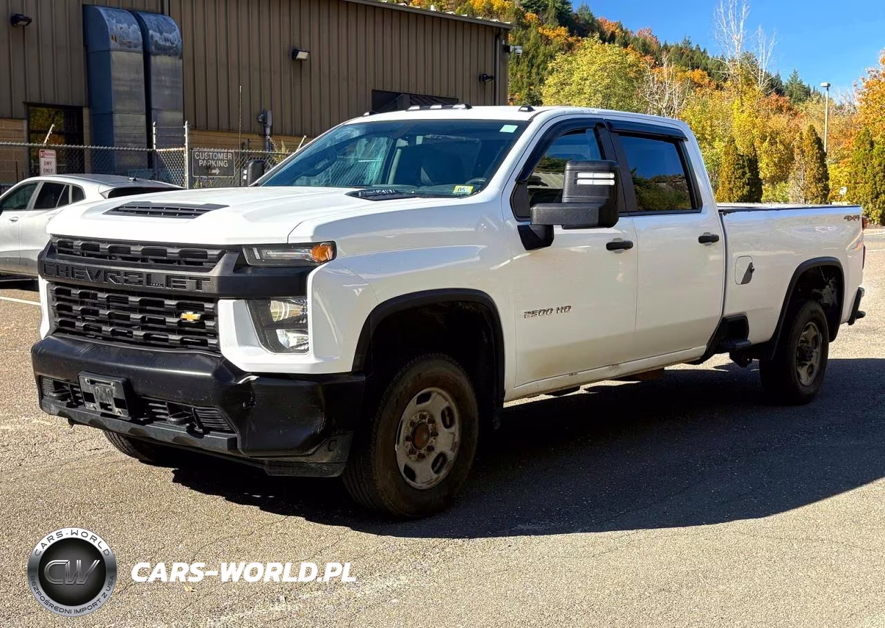 2020 Chevrolet Silverado K2500 Heavy Duty VIN:1GC4YLEY5LF197971 - 2
