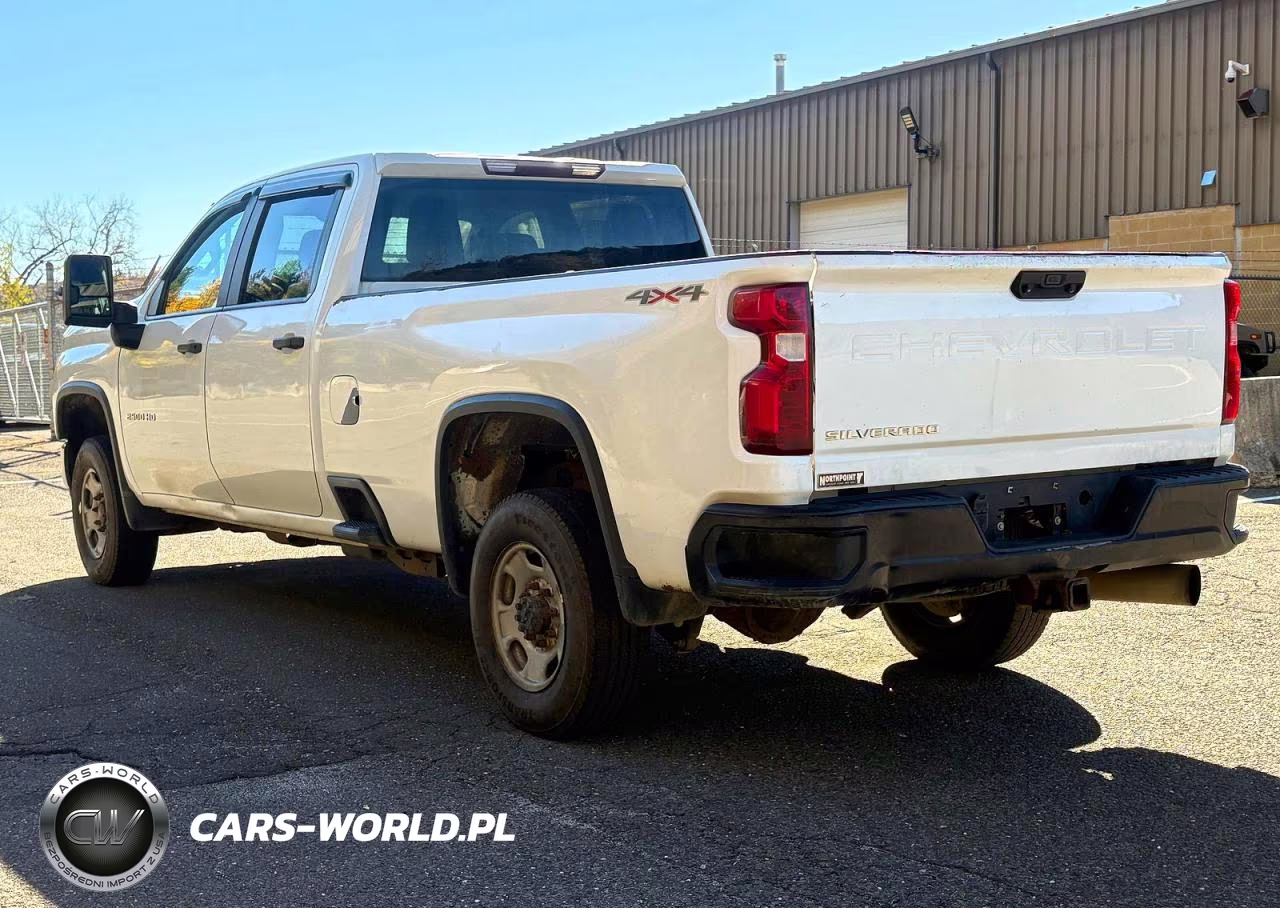 2020 Chevrolet Silverado K2500 Heavy Duty VIN:1GC4YLEY5LF197971 - 3