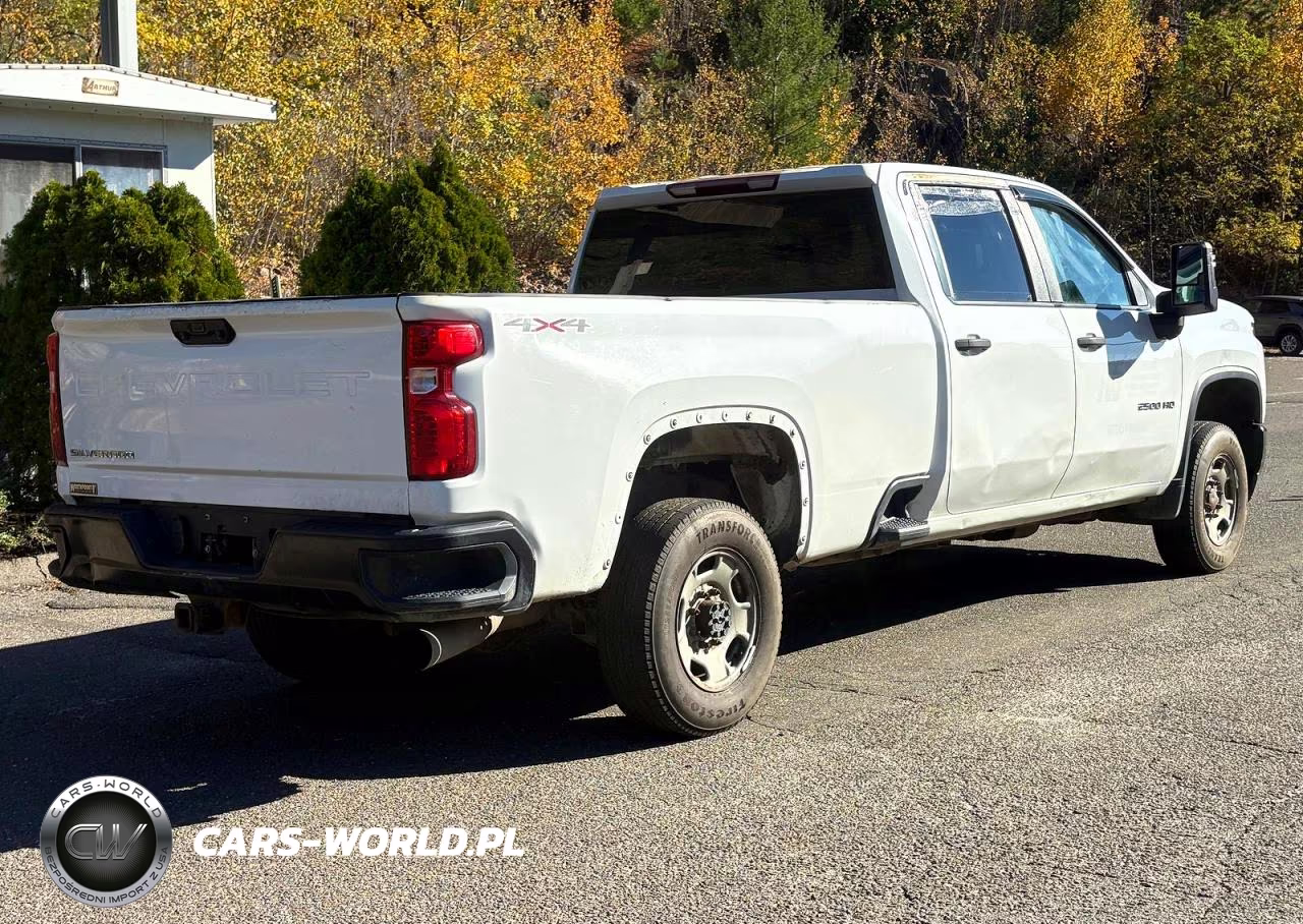 2020 Chevrolet Silverado K2500 Heavy Duty VIN:1GC4YLEY5LF197971 - 4