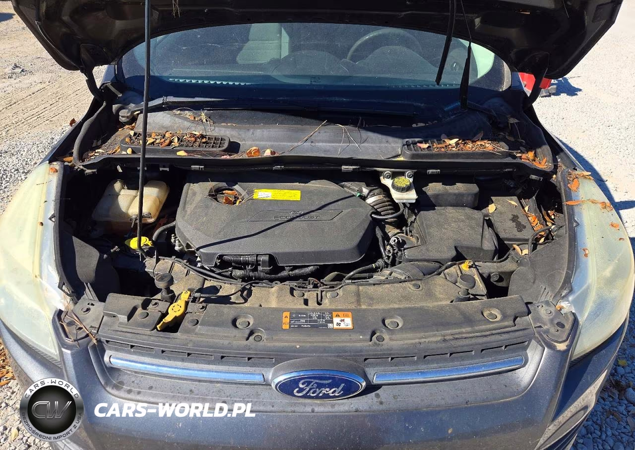 2016 Ford Escape Se VIN:1FMCU0GX5GUA91205 - 12