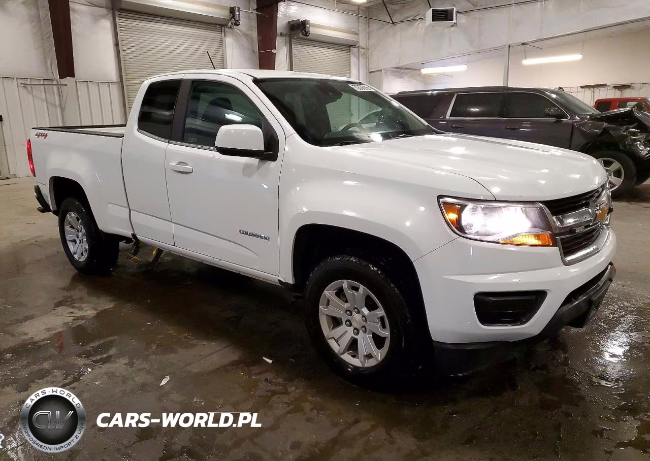2020 CHEVROLET COLORADO VIN:1GCHTCEA5L1181205 - 4