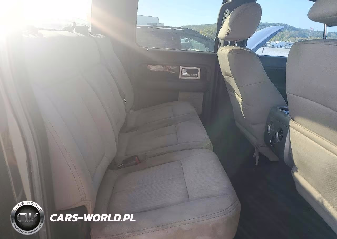 2009 Ford F150 Supercrew VIN:1FTPW14V69FA74445 - 10