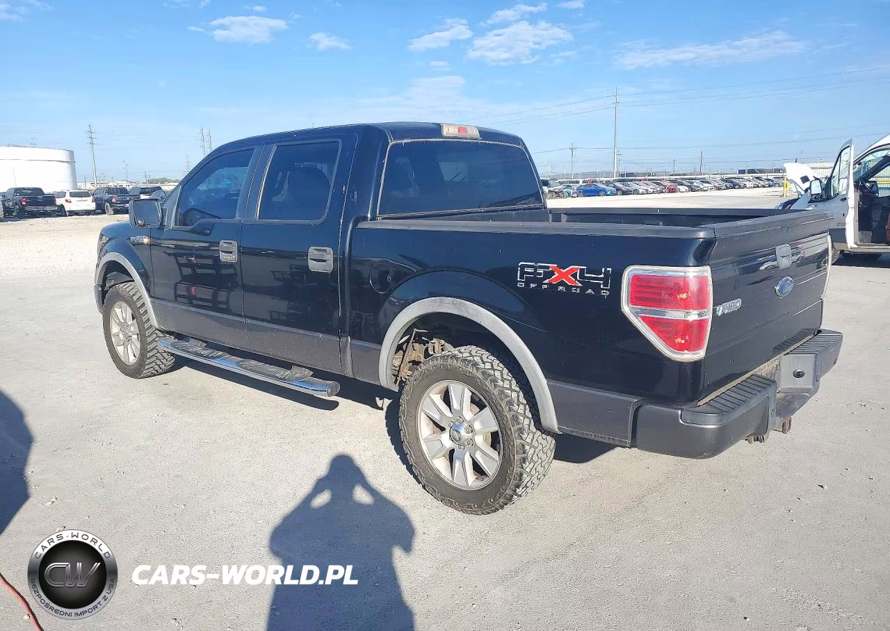 2009 Ford F150 Supercrew VIN:1FTPW14V69FA74445 - 2