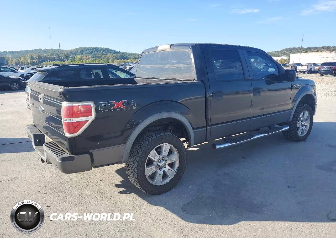 2009 Ford F150 Supercrew VIN:1FTPW14V69FA74445 - 3