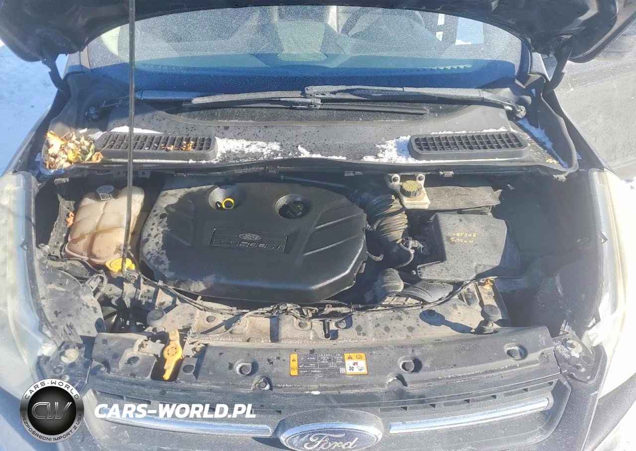 2013 Ford Escape Se VIN:1FMCU9G95DUB86834 - 12