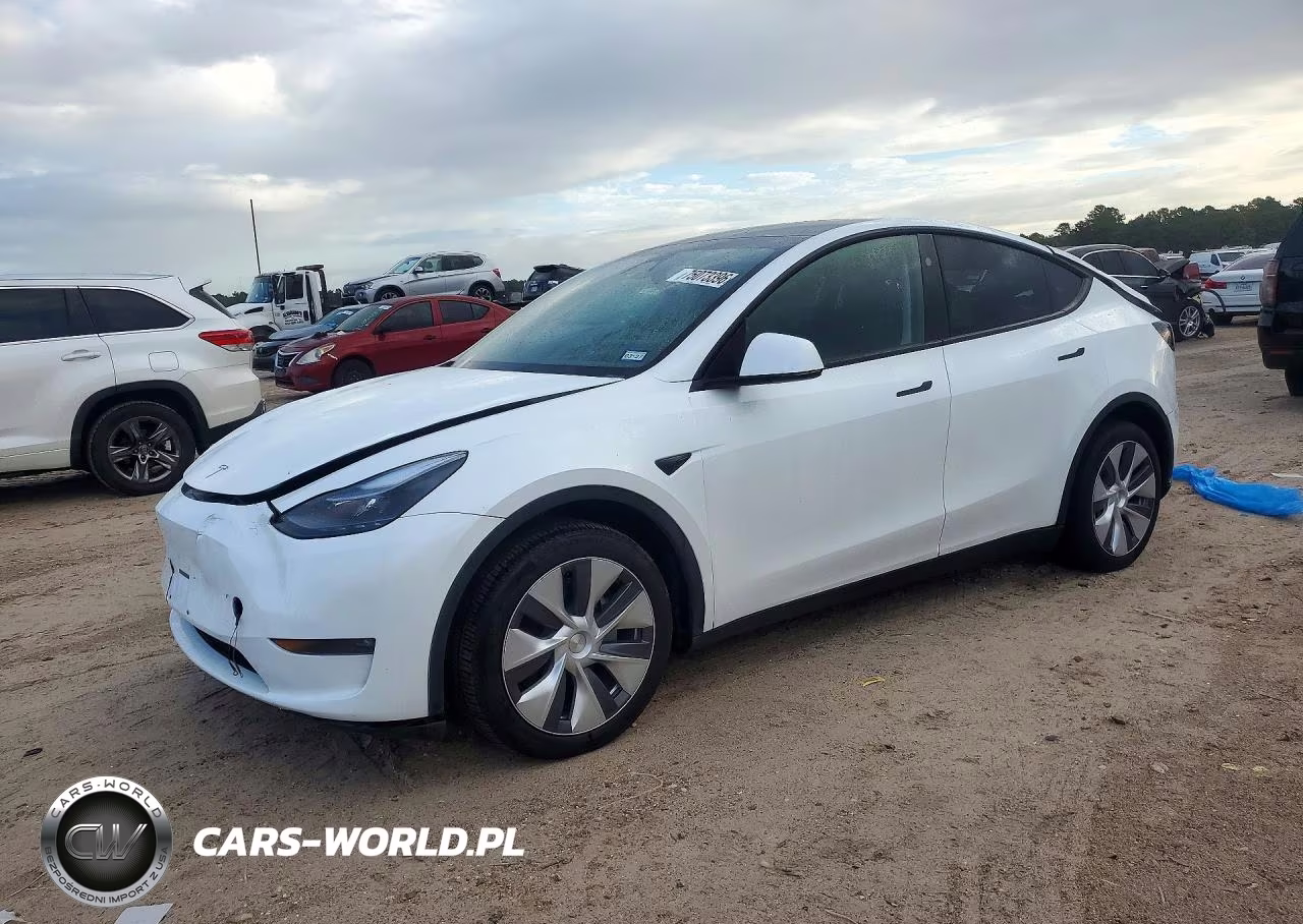 2024 Tesla Model Y VIN:7SAYGDEEXRA251973 - 1