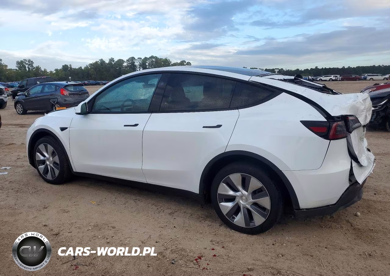 2024 Tesla Model Y VIN:7SAYGDEEXRA251973 - 2