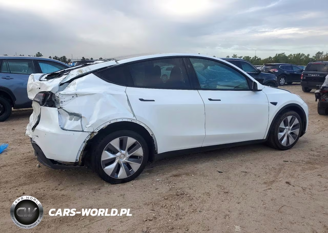 2024 Tesla Model Y VIN:7SAYGDEEXRA251973 - 3