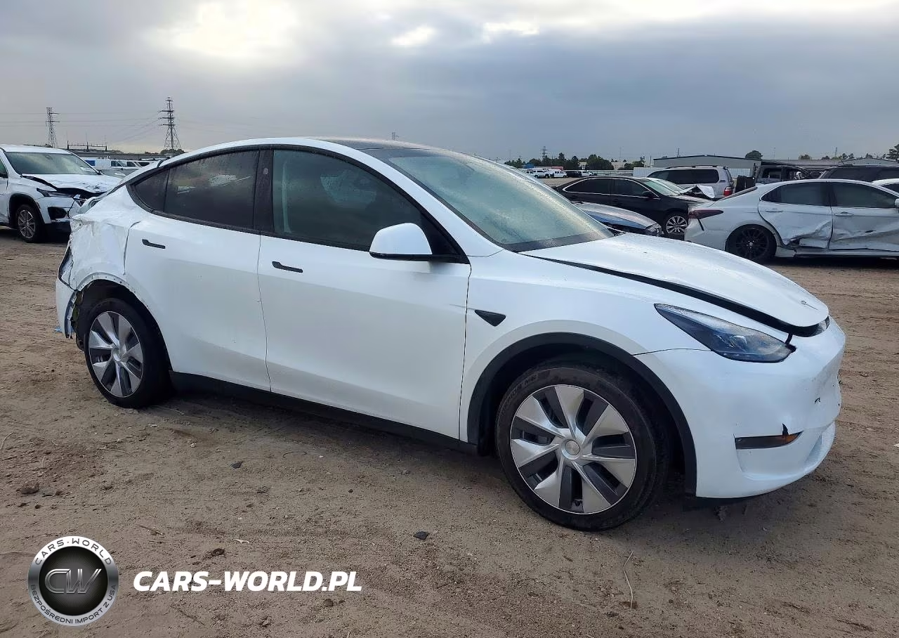 2024 Tesla Model Y VIN:7SAYGDEEXRA251973 - 4