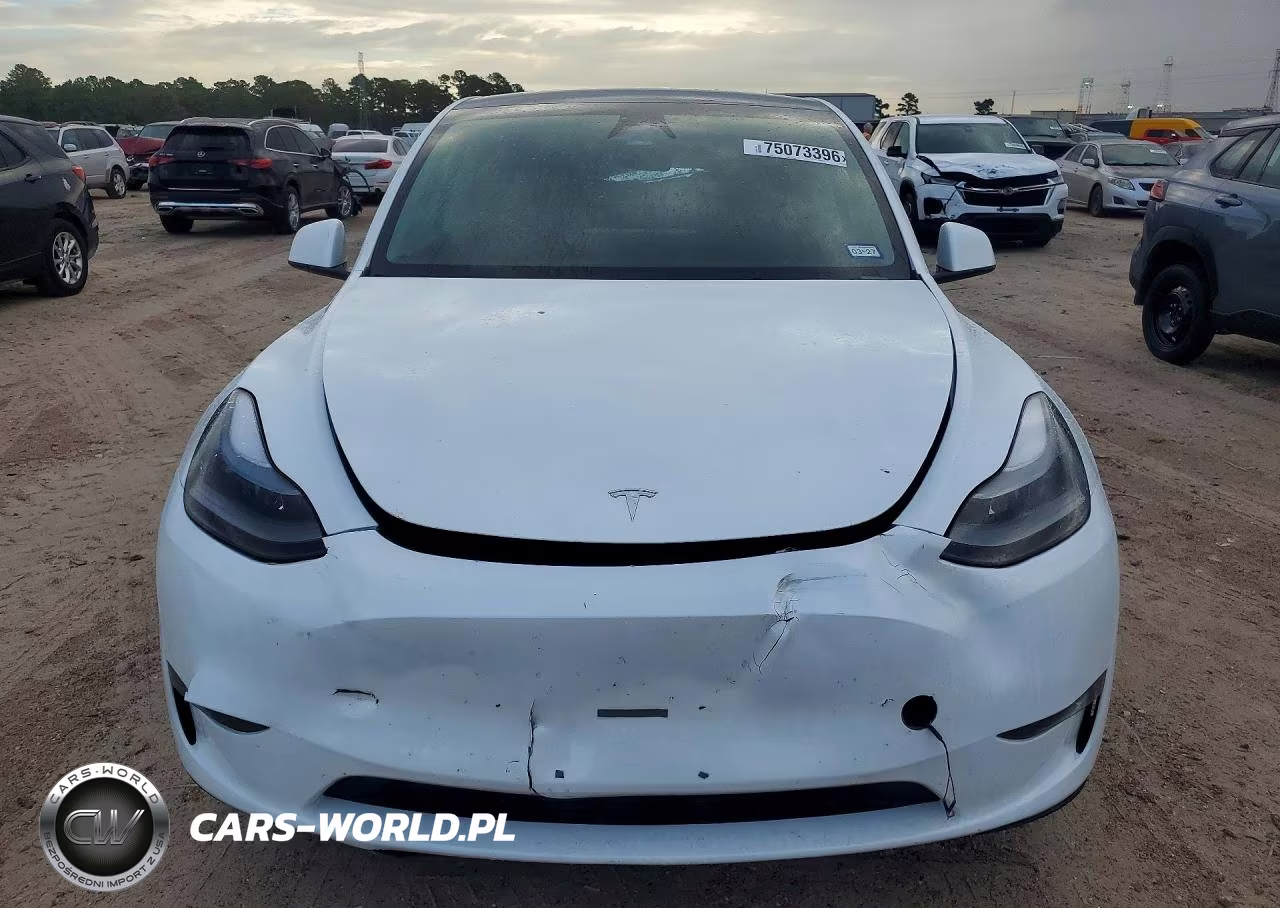 2024 Tesla Model Y VIN:7SAYGDEEXRA251973 - 5