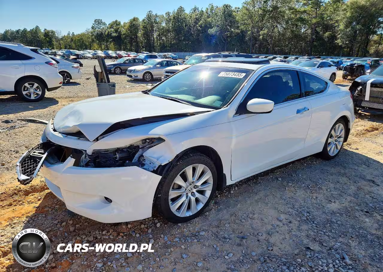 2009 Honda Accord Exl