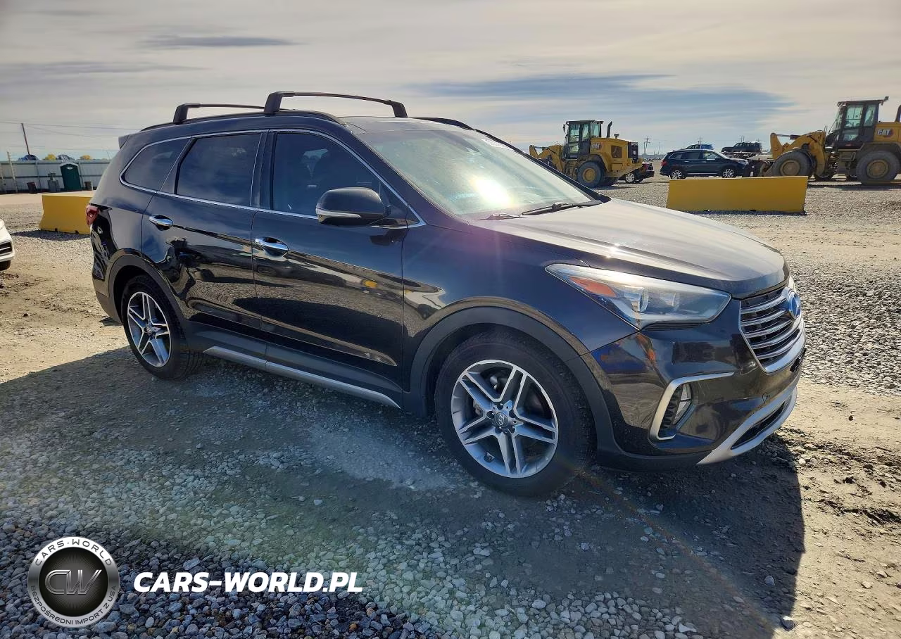 2017 Hyundai Santa Fe Limited Ultimate VIN:KM8SRDHF3HU243686 - 4