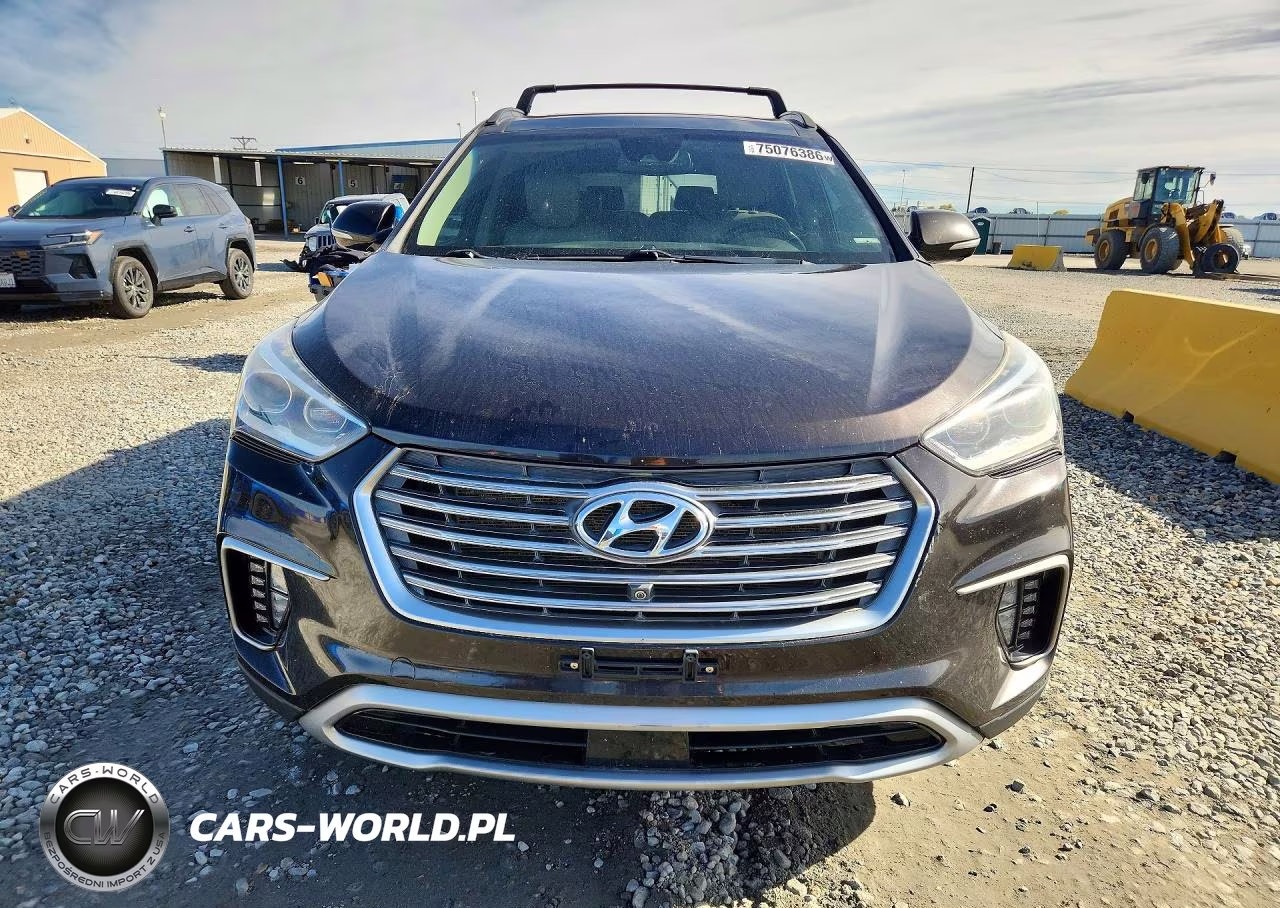 2017 Hyundai Santa Fe Limited Ultimate VIN:KM8SRDHF3HU243686 - 5