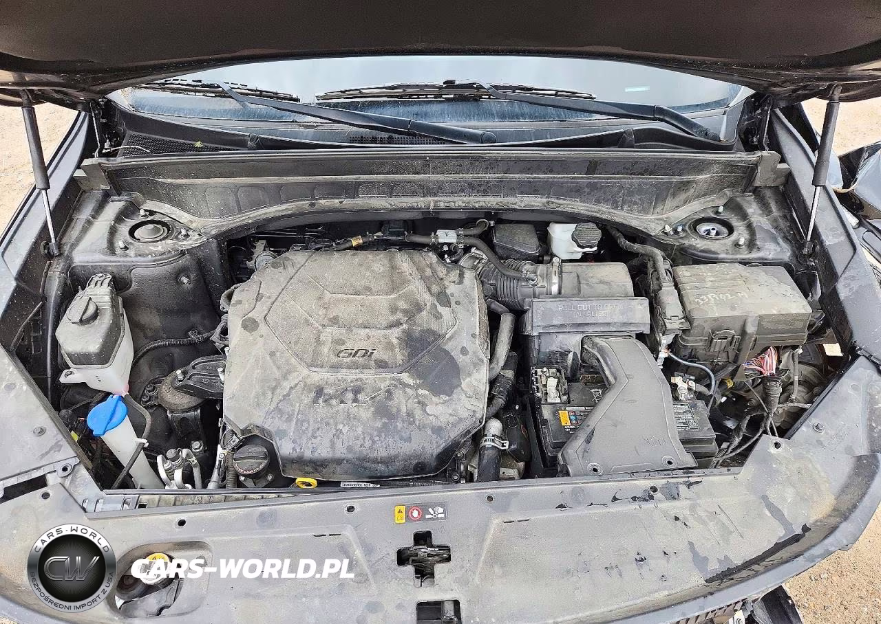 2023 Kia Telluride S VIN:5XYP64GC7PG381063 - 12