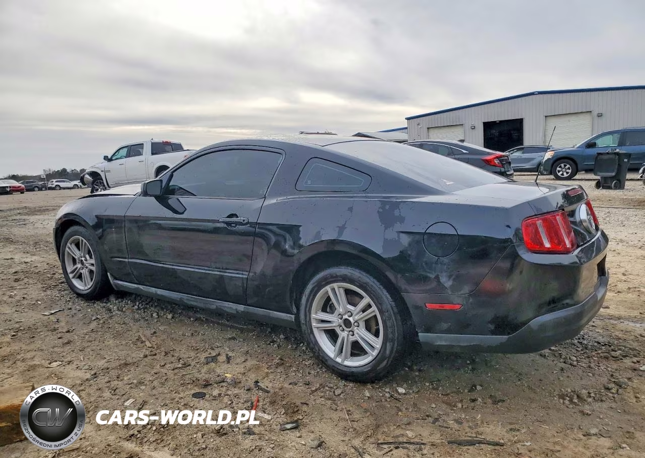 2010 Ford Mustang VIN:1ZVBP8AN1A5101286 - 2