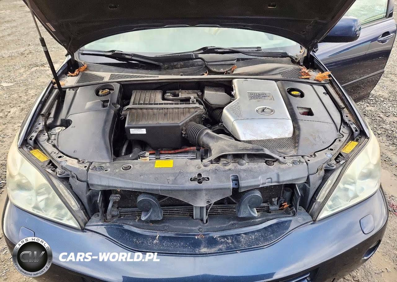 2006 Lexus Rx 400 VIN:JTJHW31U660038326 - 12