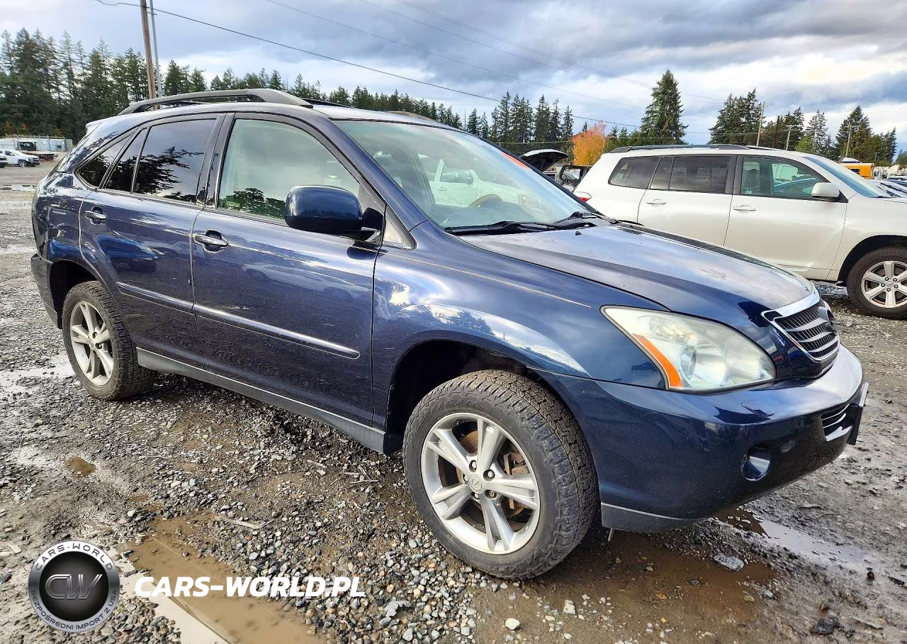 2006 Lexus Rx 400 VIN:JTJHW31U660038326 - 4